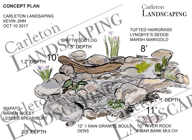 design, pond, landscape design, frog pond, garden pond
